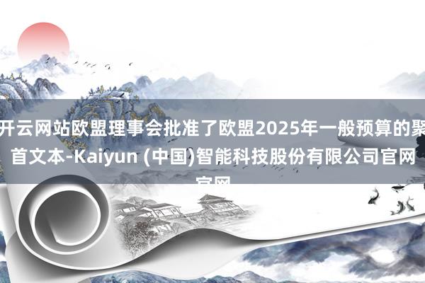 开云网站欧盟理事会批准了欧盟2025年一般预算的聚首文本-Kaiyun (中国)智能科技股份有限公司官网