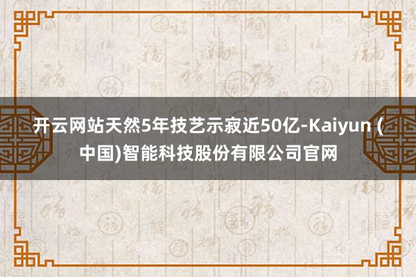 开云网站天然5年技艺示寂近50亿-Kaiyun (中国)智能科技股份有限公司官网