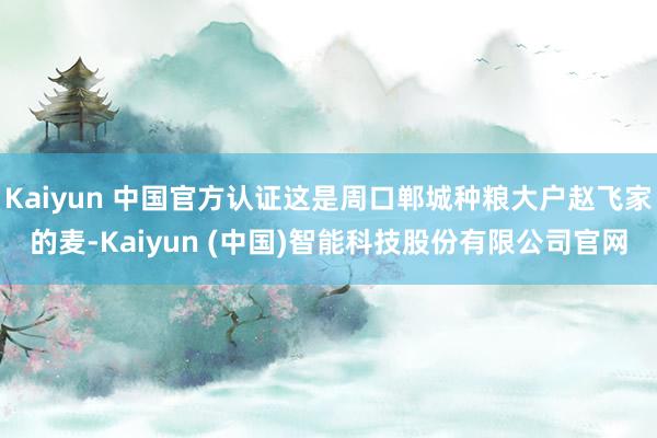 Kaiyun 中国官方认证这是周口郸城种粮大户赵飞家的麦-Kaiyun (中国)智能科技股份有限公司官网